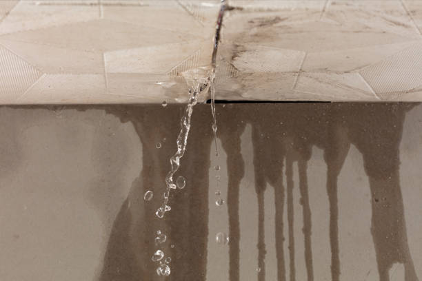 Professional Burst Pipe Cleanup technician working in Lynwood, IL